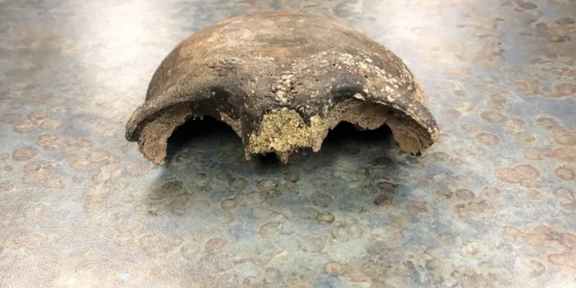 Minnesota authorities say that kayakers stumbled upon a nearly 8,000 years old human skull in a river.