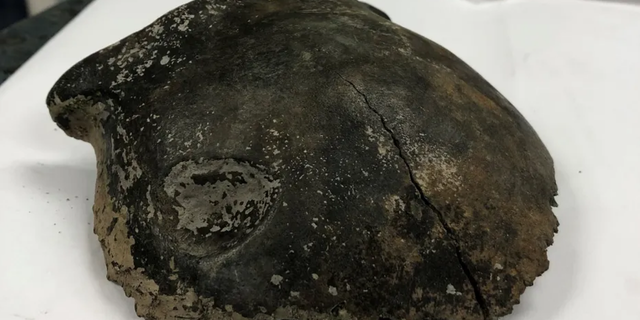 Minnesota police say that kayakers stumbled upon a nearly 8,000 years old human skull in a river.