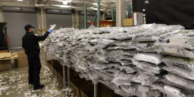 Customs and Border Protection agents in Detroit, Michigan, seized 2,175 pounds of marijuana on May 11 from boxes that were disguised as foam pool toys.