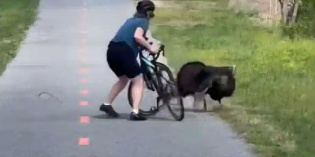 A cyclist is attacked on the Anacostia Riverwalk Trail.