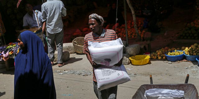 A man carries a sack of wheat flour imported from Turkey in the Hamar-Weyne market in the capital Mogadishu, Somalia Thursday, May 26, 2022. Families across Africa are paying about 45% more for wheat flour as Russia's war in Ukraine blocks exports from the Black Sea. Some countries like Somalia get more than 90% of their wheat from Russia and Ukraine. That's forcing many people to substitute wheat for other grains. But the United Nations is warning that the price hikes are coming as many parts of Africa are facing drought and hunger. 