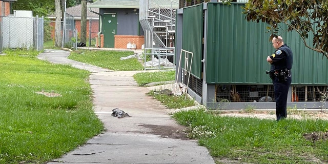 A resource officer waited with the alligator until animal control arrived. The police department later turned this photo into a meme contest on Facebook.