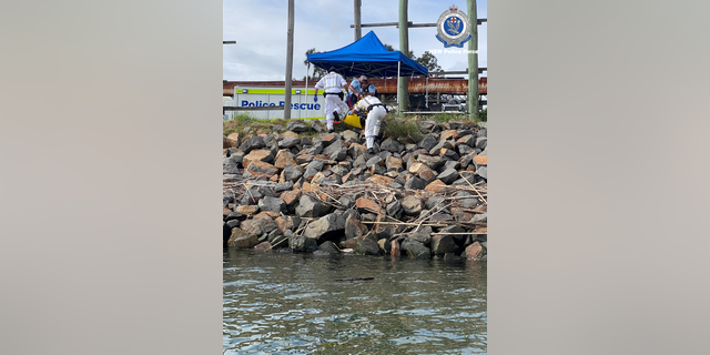 The diver's body and the drugs washed up on a riverbank in Newcastle, about 100 miles north of Sydney. 