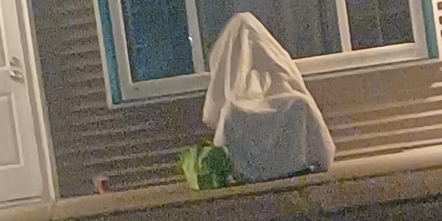 The intoxicated man, later identified as Philip Dulude, was found hiding in a chair underneath a blanket, police said.