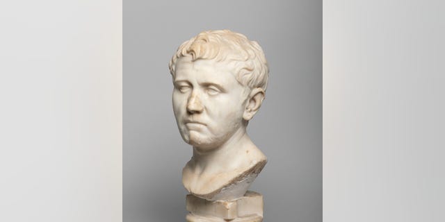 This undated photo shows a marble bust that a Texas woman bought for about $35 from a Goodwill store that is temporarily on display at a San Antonio museum after experts determined it was a centuries-old sculpture missing from Germany since World War II.