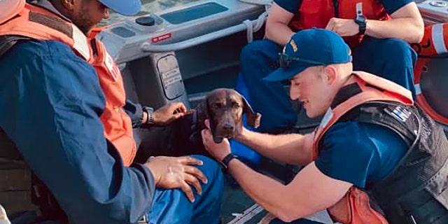 Myla was not injured and the crew gave her the "VIP treatment" until they could reunite the pup with her owners, officials said.