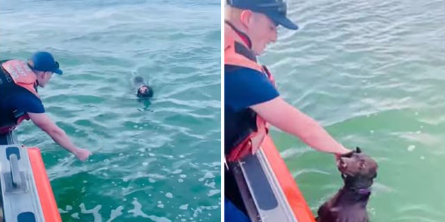 The crew spotted the dog Myla just minutes after getting the call, the Coast Guard said.
