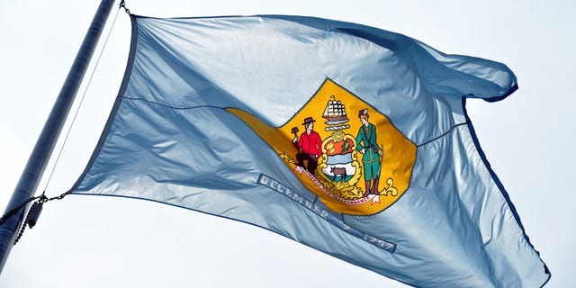 Delaware State Flag (REUTERS/Jason Minto)