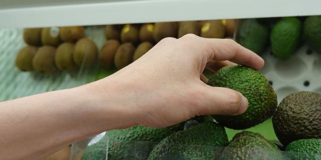 Avocados are a large berry that grows on trees. It is part of the Lauraceae family of flowering plants and is native to the mountainous regions of south-central Mexico and Guatemala. There are several subspecies.