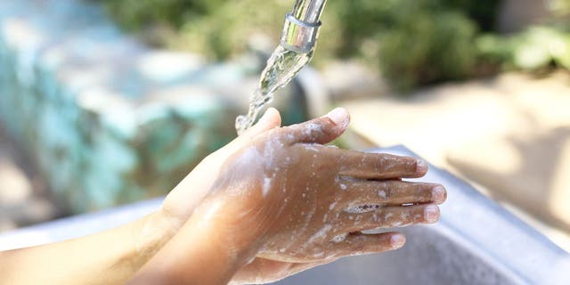 Hands should be washed thoroughly before, during and after handling food.