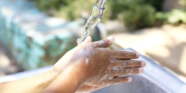 Hands should be washed thoroughly before, during and after handling food.