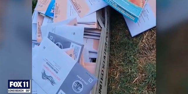 Christina Repaci told Fox 11 Los Angeles she found a U.S. Postal Service box full of 104 mail-in ballots while walking her dog in West Hollywood Saturday.