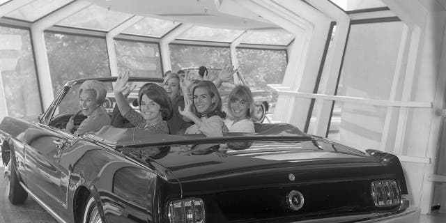 Eleve Mustangs were used on the Disney Magic Skyway ride.