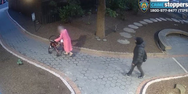 Nypd Searching For Brazen Purse Snatcher Who Robbed 90 Year Old Woman In Manhattan Fox News 3283