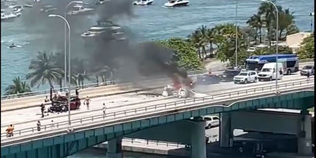 A small plane crashed in South Florida Saturday leaving 1 injured