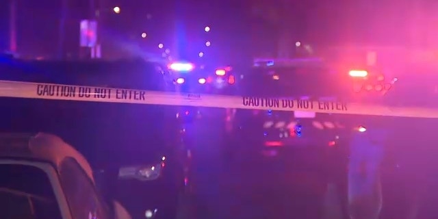 San Diego police say three people were shot on Shelter Island Saturday evening.