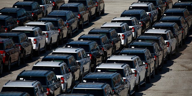 Ford Motor vehicles parked in an overflow lot in Louisville, Kentucky (Luke Sharrett/Bloomberg via Getty)