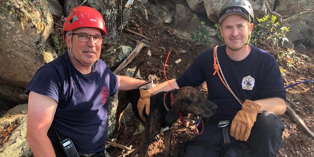 Rescuers hoisted Storm to safety after the hunting dog fell 35 feet into a cave.