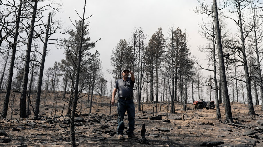 New Mexico wildfire