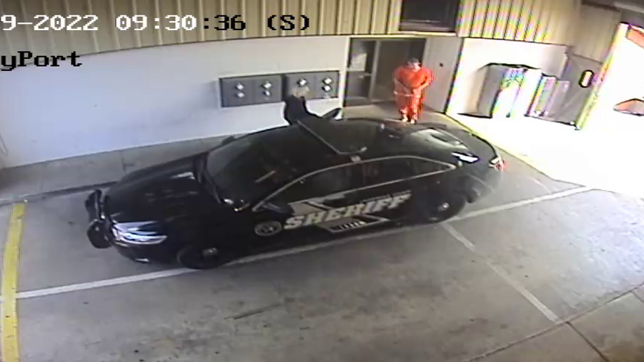 Surveillance video appears to show missing Alabama corrections officer Vicky White leaving the Lauderdale County Detention Center Friday morning with the fugitive suspected murderer Casey Cole White walking behind her in leg shackles and handcuffs.