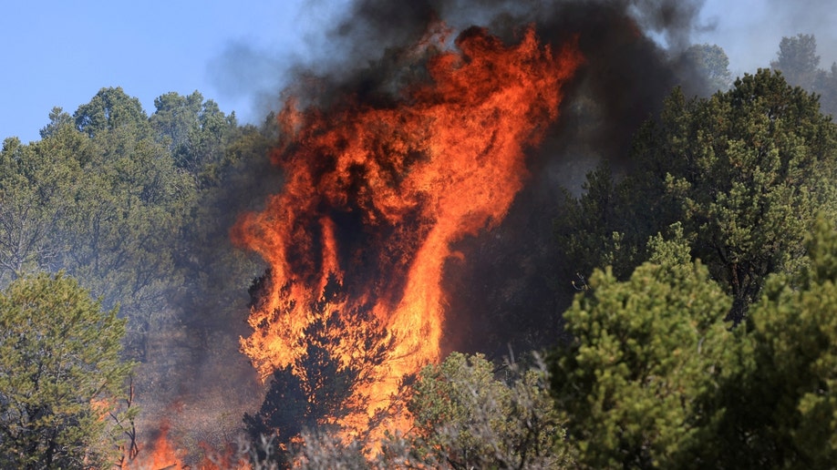 New Mexico's Hermits Peak and Calf Canyon wildfire