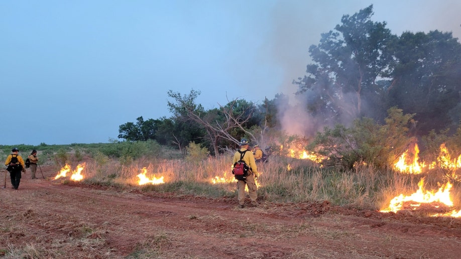 Firefighters work on the Coconut Fire in Texas