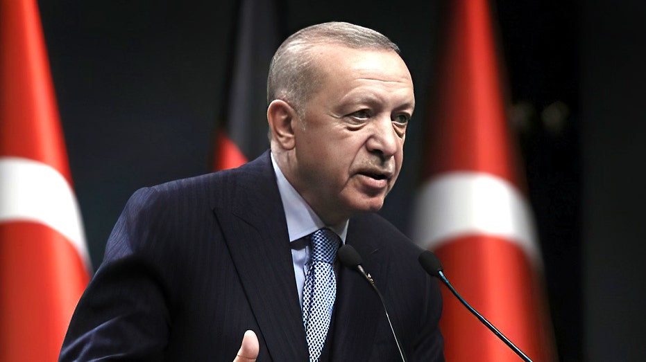 Erdoğan vows to expand military operation against Kurdish groups in Syria, Iraq