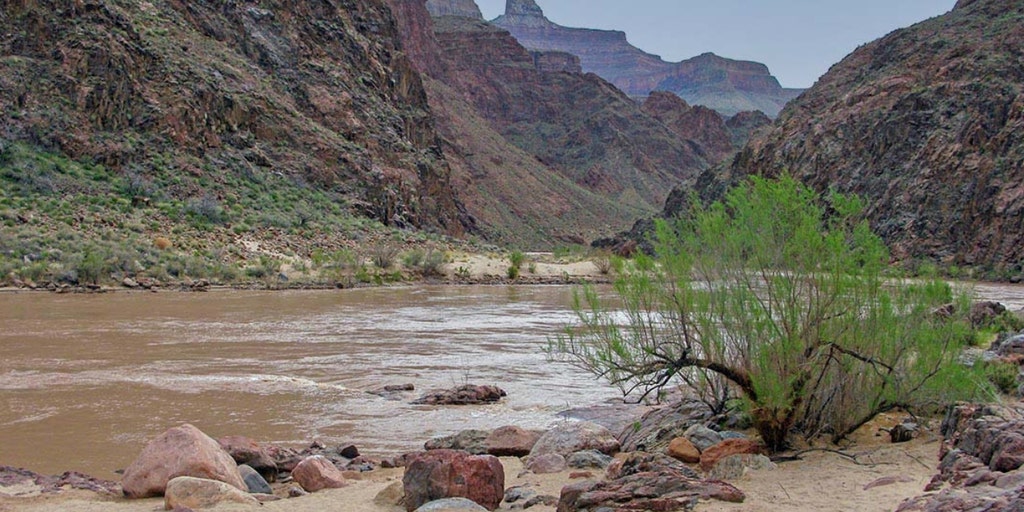 Woman drowns after falling into Colorado River - Vimarsana News