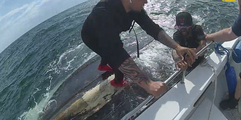 Connecticut police make dramatic boat rescue after getting help from FaceTime, video shows - Vimarsana News