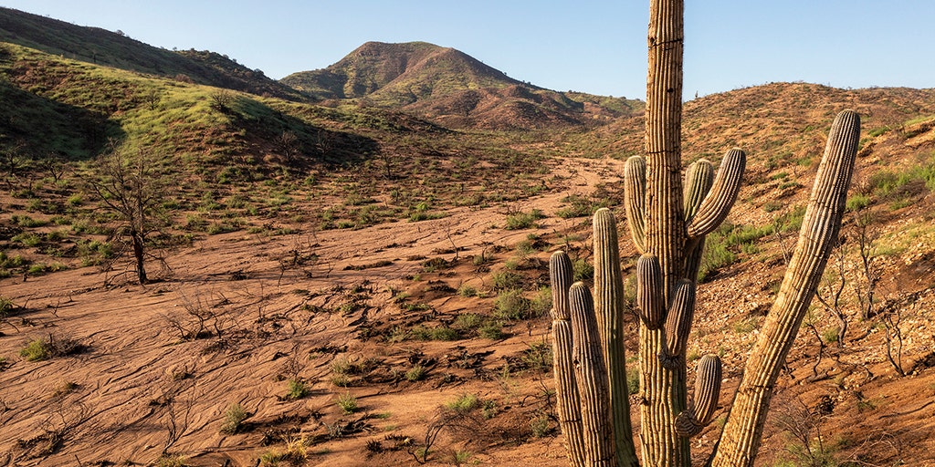 Small plane crash leaves 2 dead in Arizona - Vimarsana News