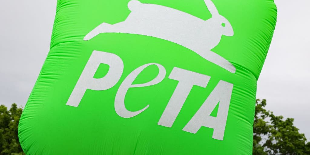 PETA rewrites the Bible with the help of ChatGPT to make the Book of Genesis 'vegan' friendly - Vimarsana News