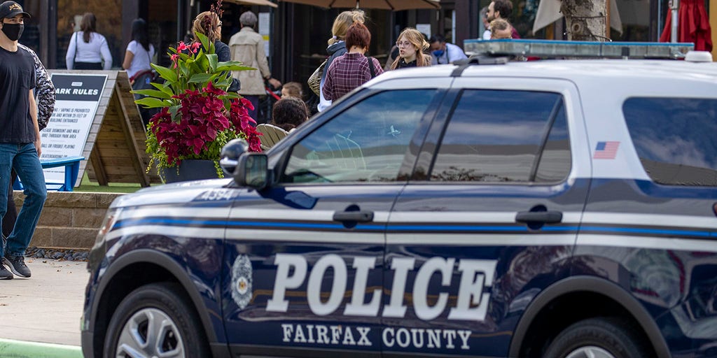 Body found in Fairfax County, Virginia, woods investigated as homicide; no arrests announced - Vimarsana News