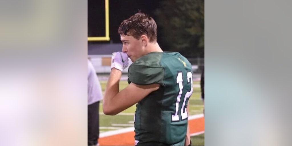 Ethan Liming 911 call prompts more questions about 17-year-old's beating death - Vimarsana News