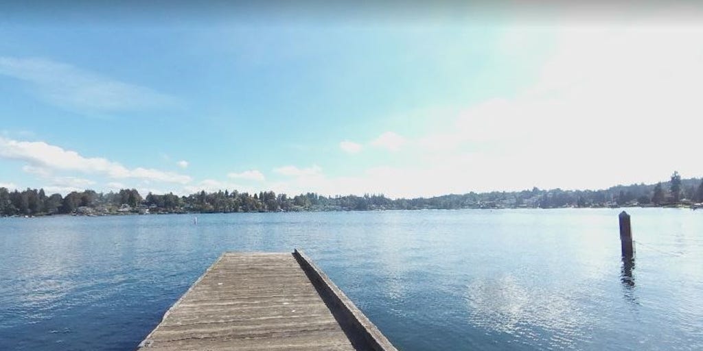 Washington boy, 13, drowns, two other kids, aged 12 and 15, in critical condition after being pulled from lake - Vimarsana News