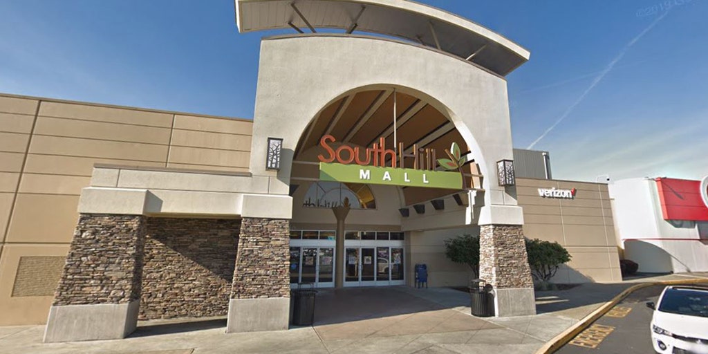 Washington shopping mall underwear thieves pull gun, citizens help cops arrest them - Vimarsana News
