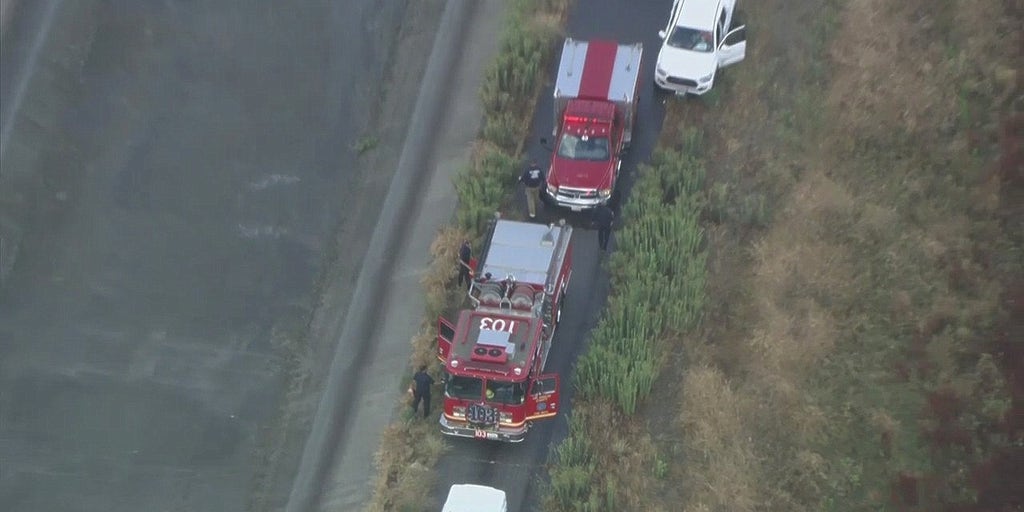 Lightning strike in California kills woman, her two dogs - Vimarsana News