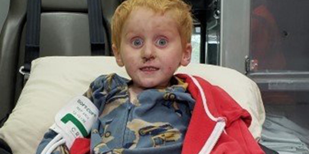 Missing Montana 4-year-old found 'in good spirits' after two days alone - Vimarsana News