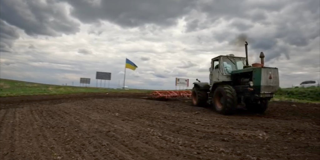 International food crisis stemming from Ukraine war has no quick fixes, experts say - Vimarsana News