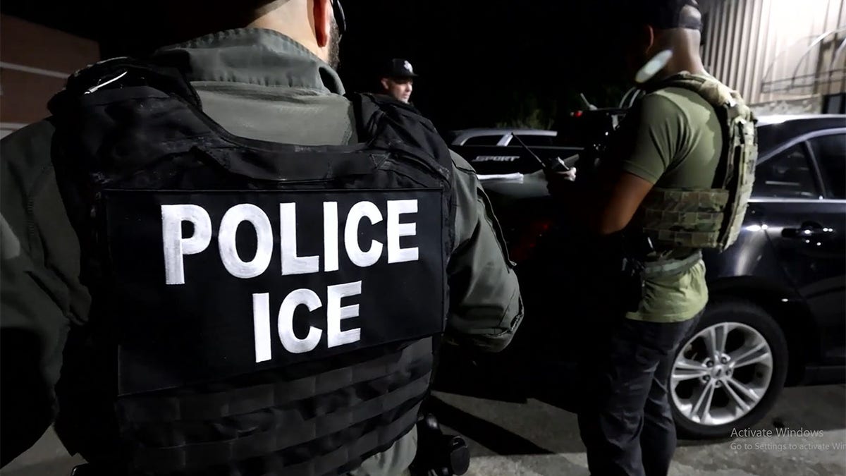 immigration ICE agents