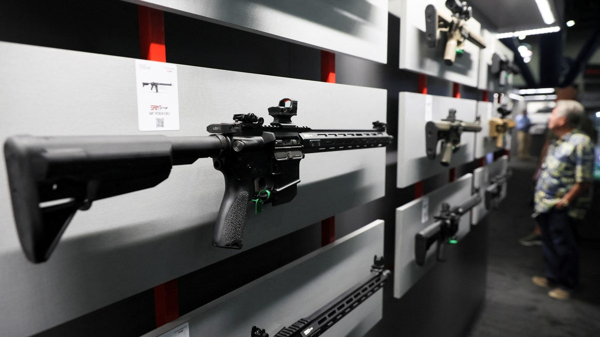AR-15 rifle display