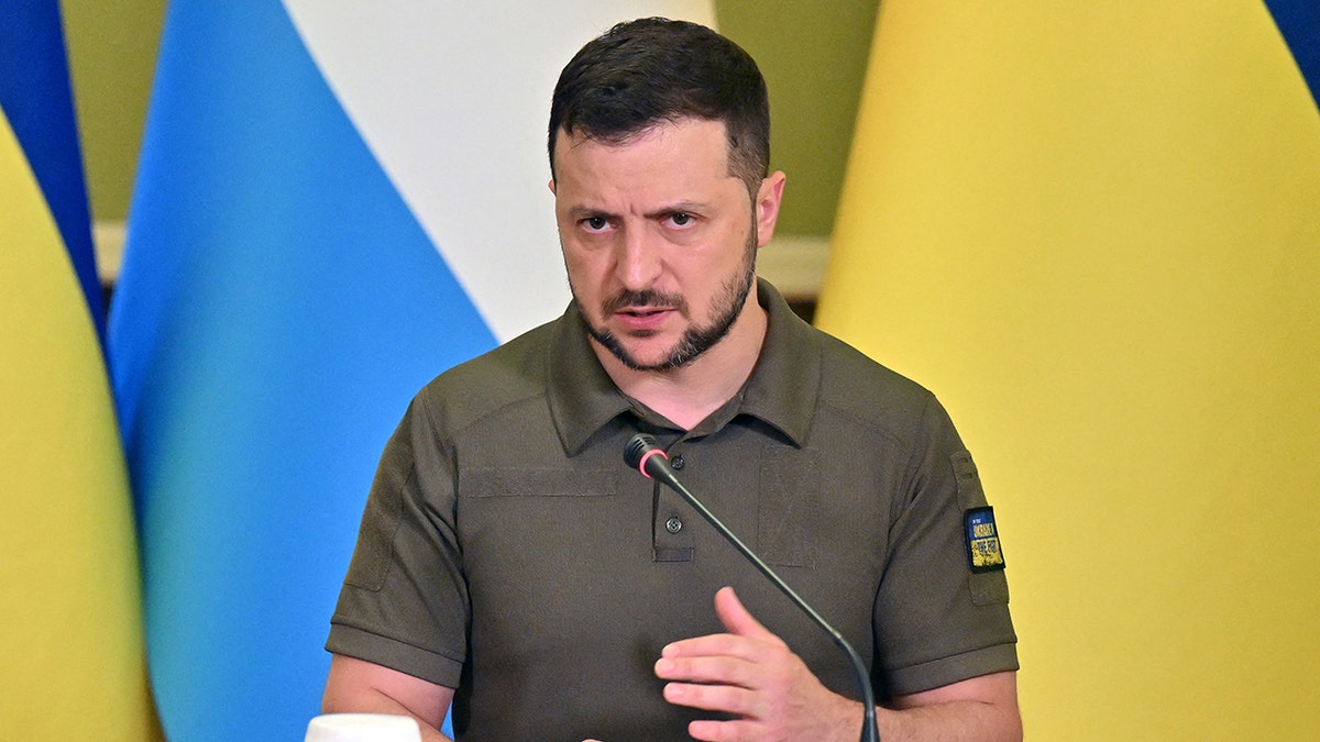 Ukraine Zelenskyy