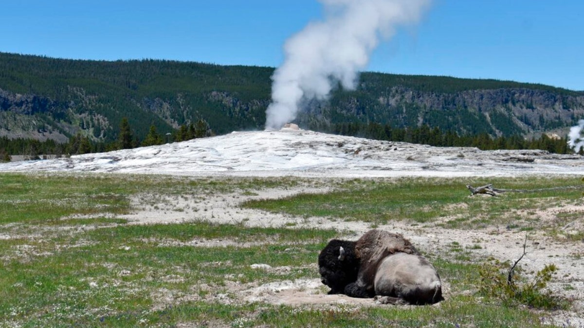 Yellowstone National Park