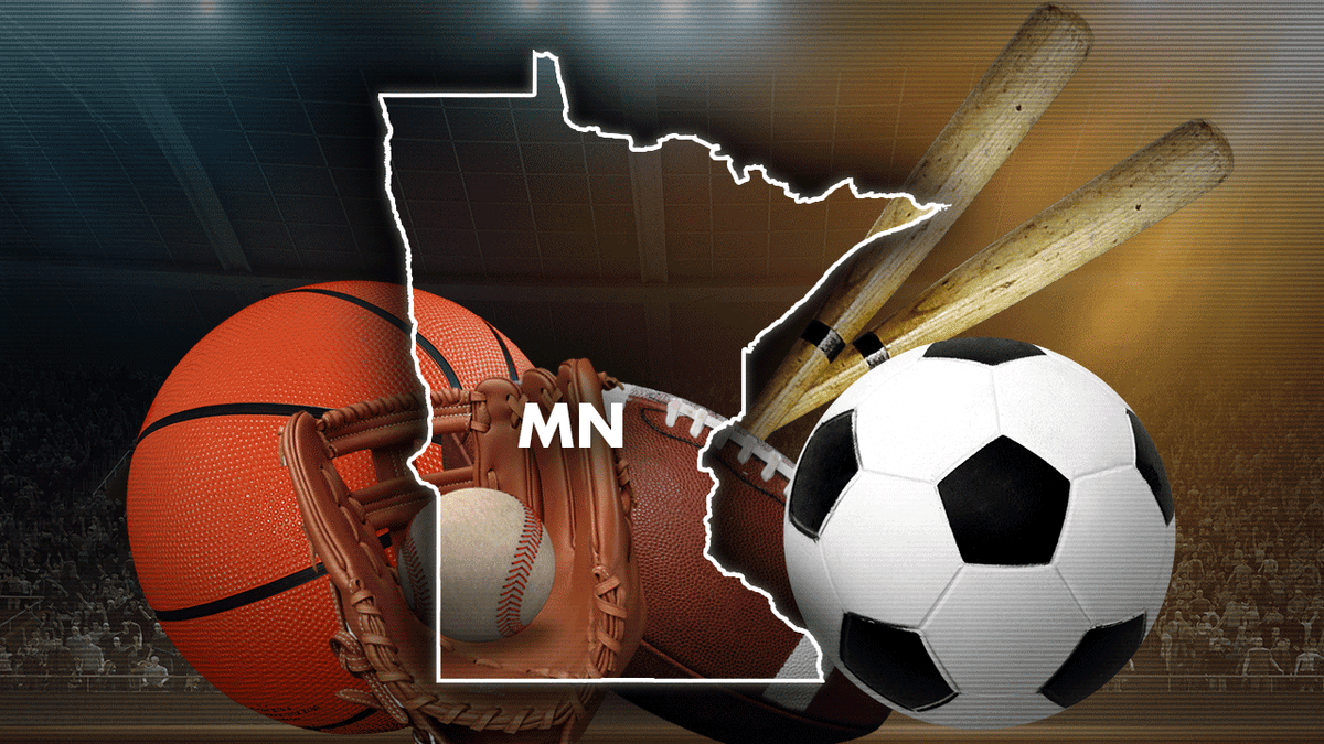 Minnesota sports teams