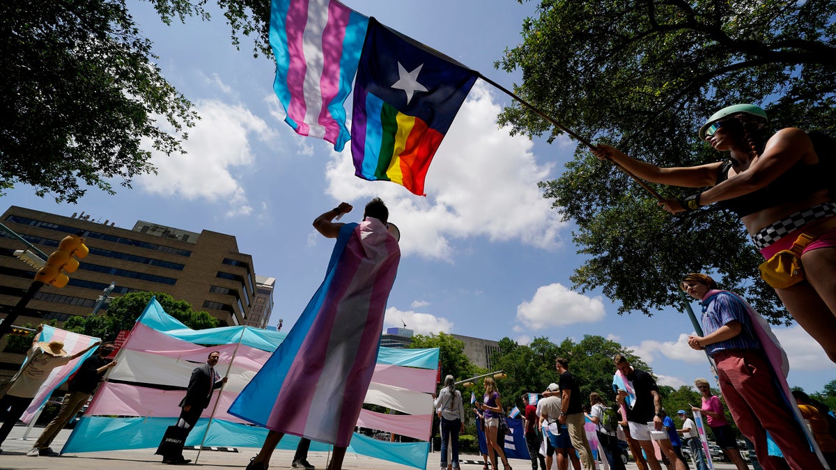 Demonstrators at Texas State Capitol