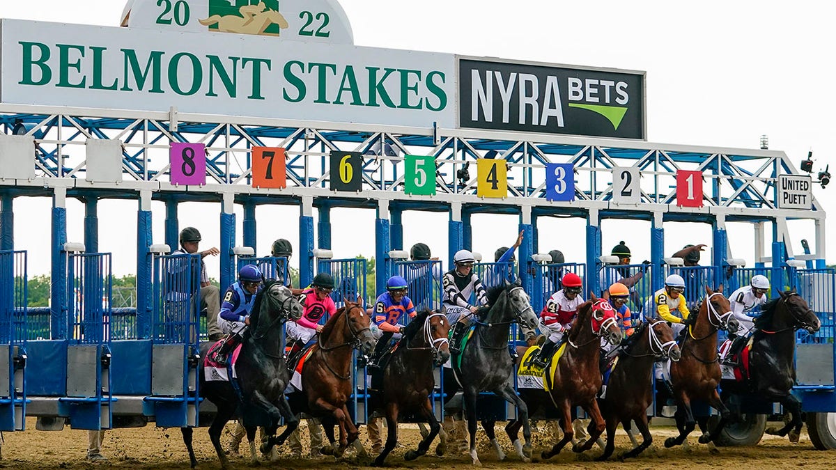 Horses racing at the Belmont Stakes