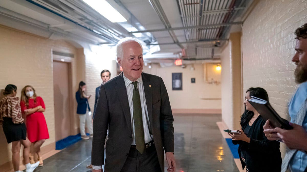 John Cornyn Senate gun bill