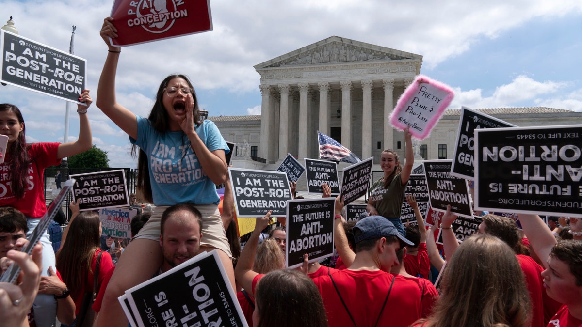 Supreme Court abortion protesters are seen after Roe v. Wade was overturned