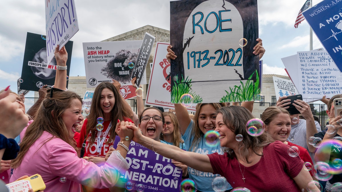 Supreme Court abortion protesters are seen after Roe v. Wade was overturned