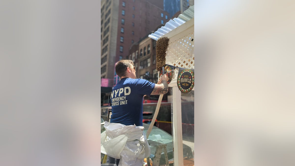 NYPD beekeeper removes bees from restaurant