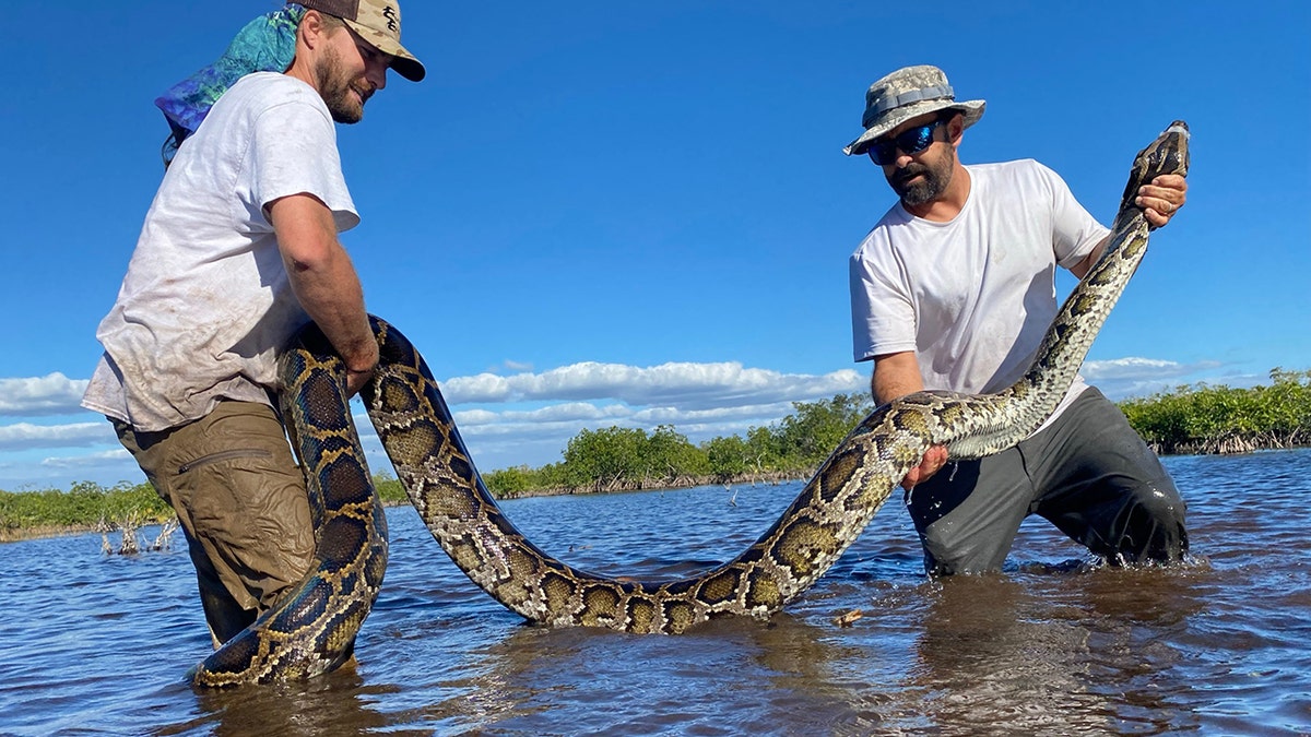 Biologists Ian Easterling, Ian Bartoszek with python